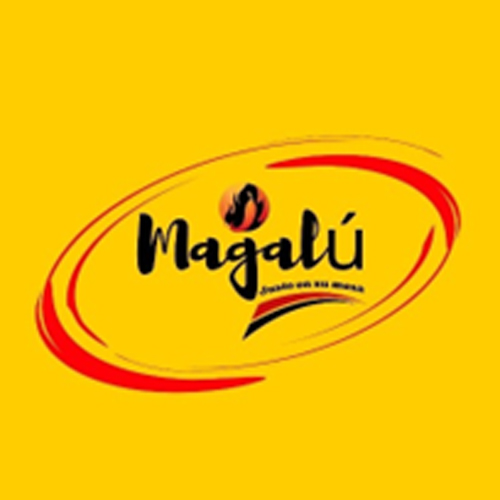 Magalú /Aurora Gabriela Salazar Marín	se ha enfocado en la producción artesanal de alimentos, como jaleas, salsas y frijoles molidos, utilizando frutas frescas como base y, en algunos casos, incorporando chile jalapeño y habanero en sus recetas