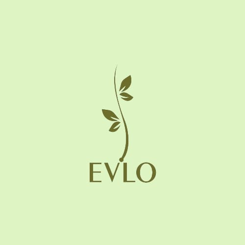 Productos y Servicios EVLO SRL /Evelyn Méndez Arguedas 	Cosmética natural específicamente elaboro shampoo y acondicionador sólidos libres de químicos nocivos.